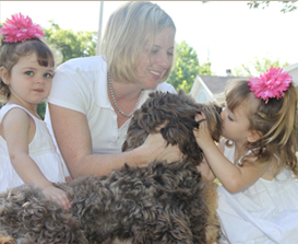 Australian Labradoodle Breeder
