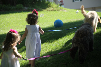 girls walking australian labradooodles